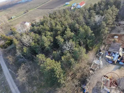 Természetközeli nyugodt élet Délegyházán – 4. kép