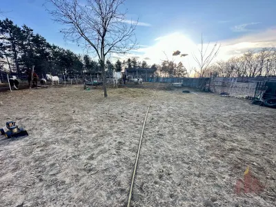 Természetközeli nyugodt élet Délegyházán – 7. kép