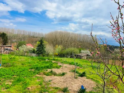 Frissen tető-szigetelt Somogy megyei családi ház eladó, hátsó kerttel, panorámával! – 18. kép