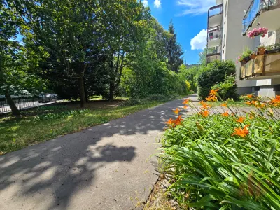Kivételes életminőség a Normafa szomszédságában – 21. kép