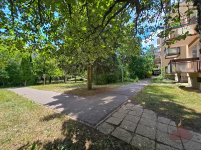 Kivételes életminőség a Normafa szomszédságában – 22. kép